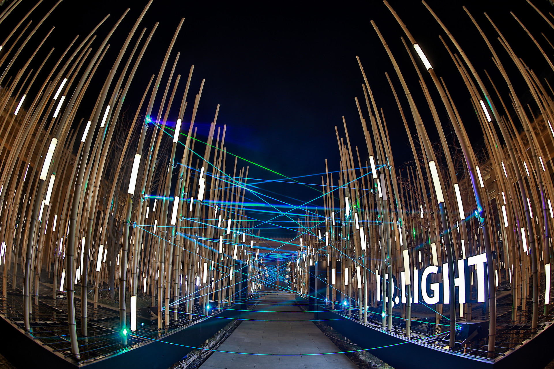 12-magotan20_studiorgb